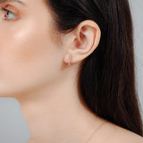 Calanthe Cubic Hoops