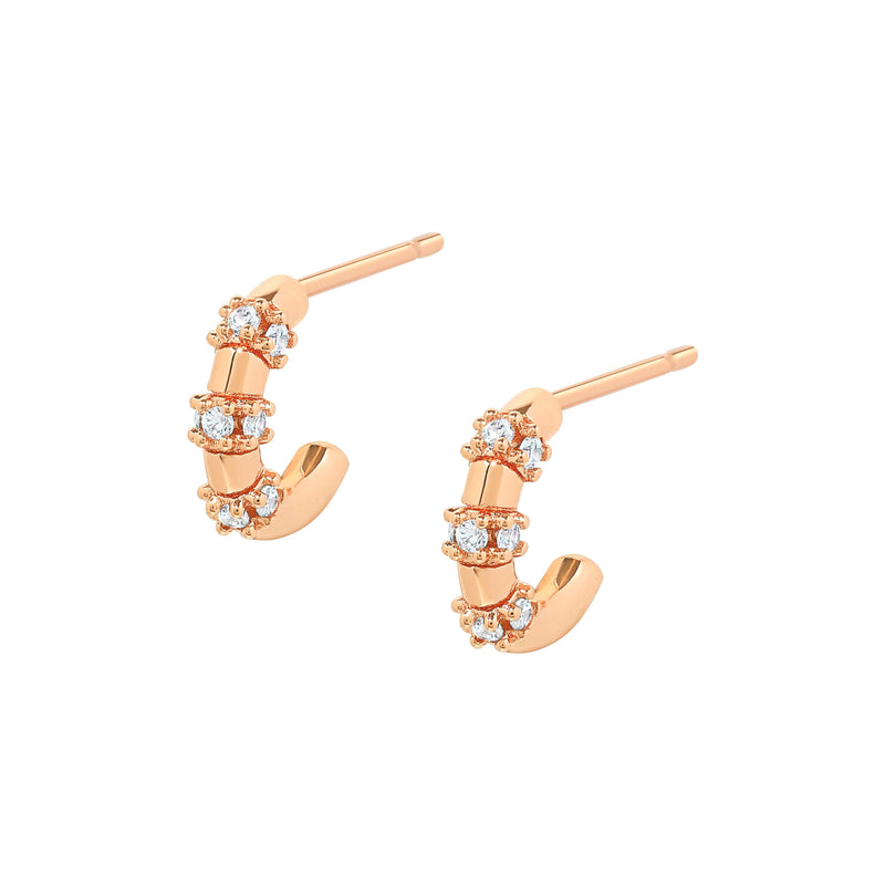 Brett Cubic Earrings.