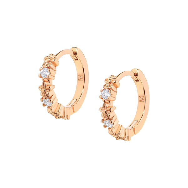 Calanthe Cubic Hoops
